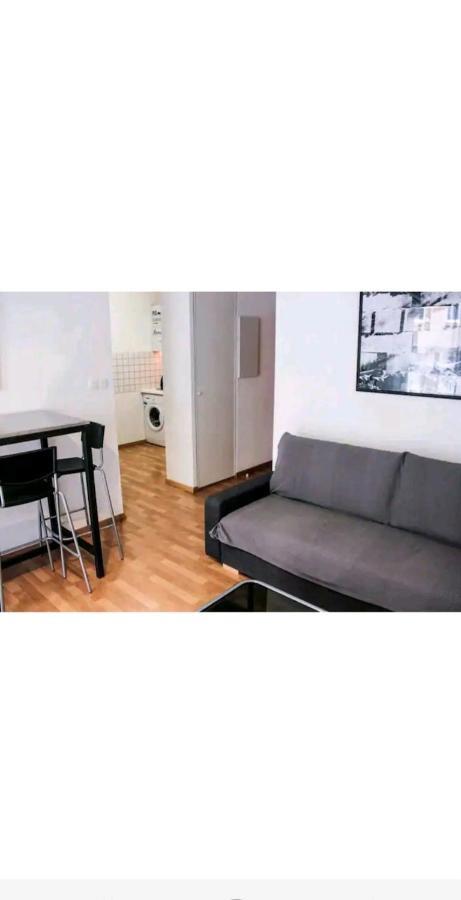 Bel Appartement Proche Du Canal Du Midi Toulouse Bagian luar foto
