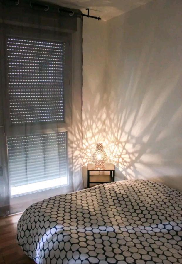Bel Appartement Proche Du Canal Du Midi Toulouse Bagian luar foto